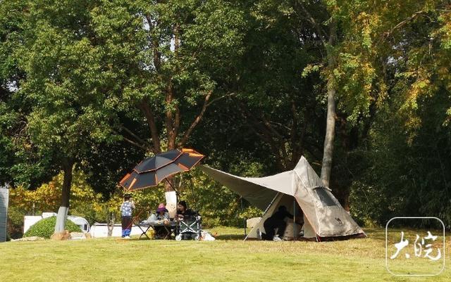 ” 合肥晴好周末上演露营“抢位战”AG真人旗舰厅“晚了就没好位子了！(图3)