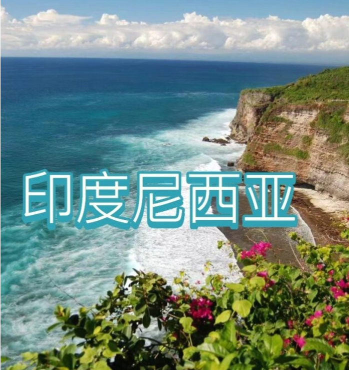 国际电商(印尼)产业博览会AG真人app2025中国(图3)