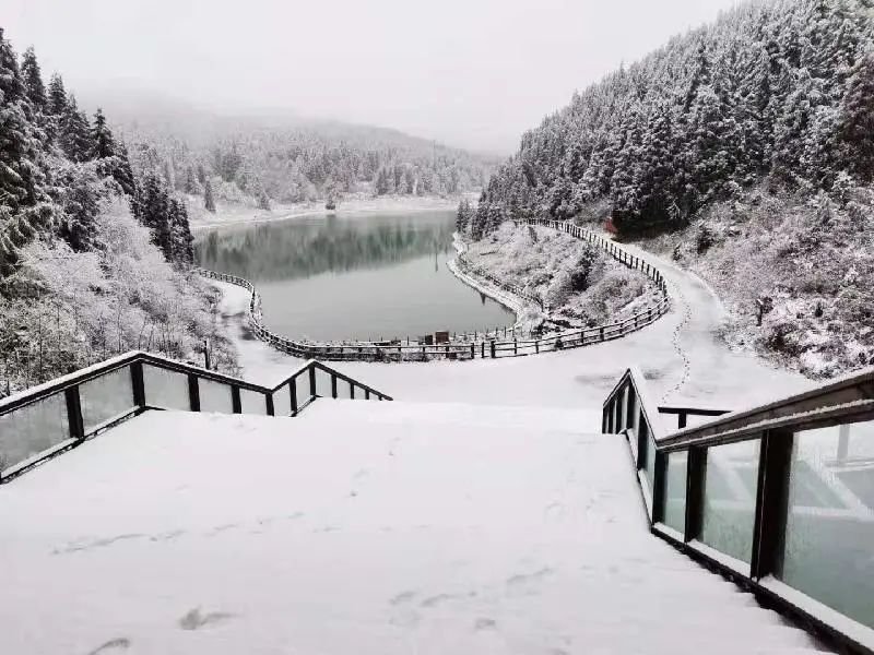 方可以看雪 重庆看雪好去处AG真人重庆冬天有哪些地(图2) 方可以看雪 重庆看雪好去处AG真人重庆冬天有哪些地(图2)
